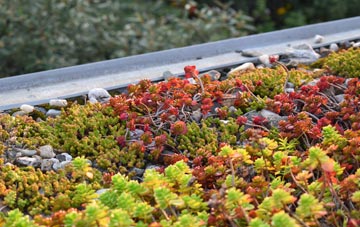 the cost of Maiden Bradley green roof installation