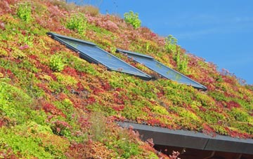 Maiden Bradley living roof systems