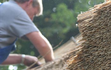 professional Maiden Bradley thatchers