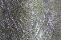 Maiden Bradley fibreglass roof work